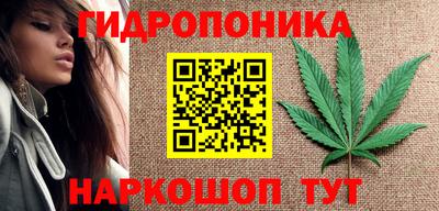 МДПВ Лесосибирск