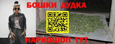 МДПВ Лесосибирск
