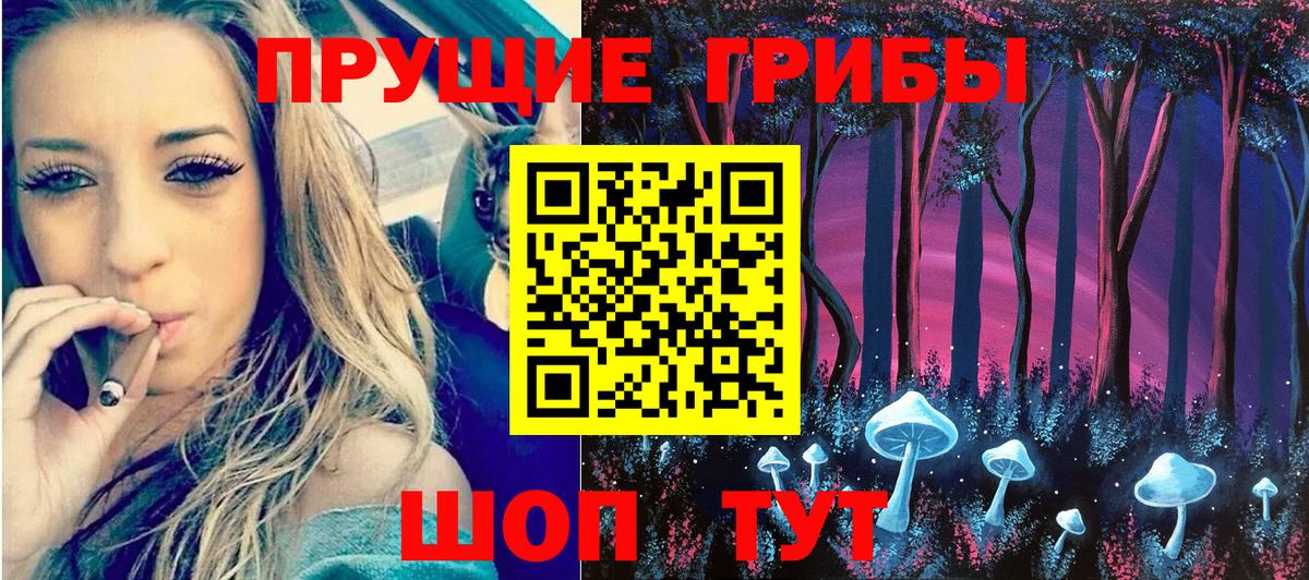 Галлюциногенные грибы прущие грибы  Вход с VPN  Бузулук 